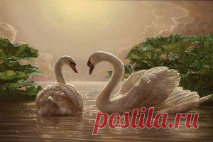 Прямой эфир - обои на рабочий стол, которые смотрят и ищут сегодня