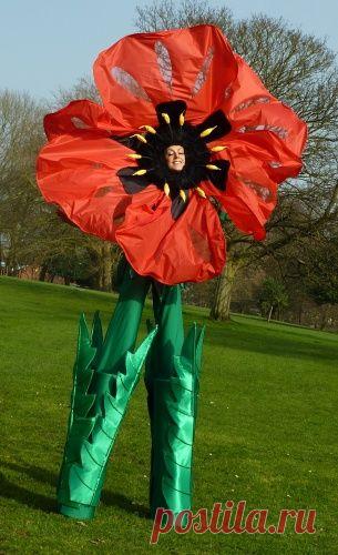 (57) Pinterest: инструмент для поиска и хранения интересных идей