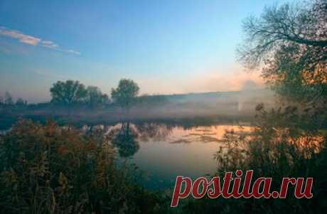Яндекс.Коллекции