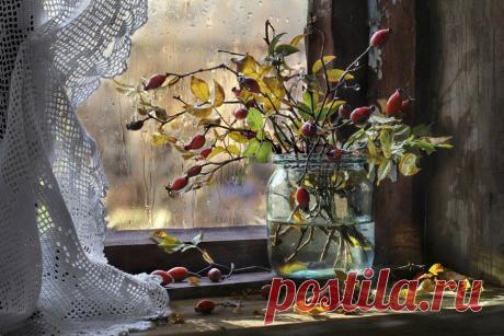Фотограграф Светлана Павловская. Натюрморты для души и настроения.