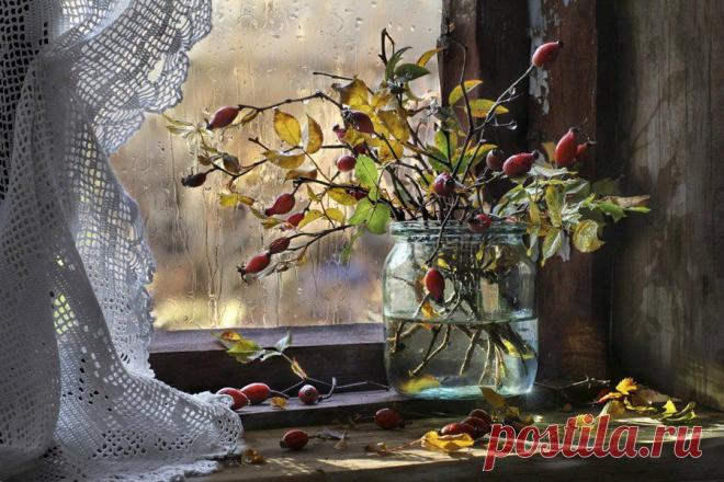 Фотограграф Светлана Павловская. Натюрморты для души и настроения.