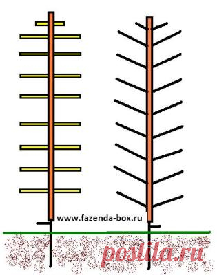 Опоры для вьющихся растений, прочно и своими руками.