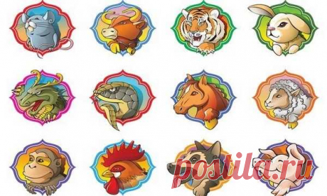 Восточный гороскоп на совместимость: найди свою идеальную пару по знакам Восточной астрологии Гороскоп на совместимость поможет тебе узнать о своих отношениях чуть больше, а также понять, как строить любовь со своим мужчиной.