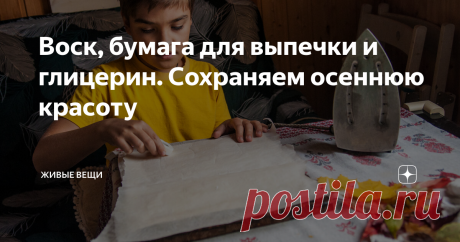Воск, бумага для выпечки и глицерин. Сохраняем осеннюю красоту интересные способы сохранить осенние листья быстро и надолго. Подробные мастер-классы
