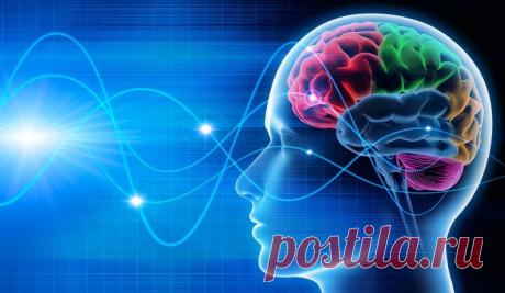 Может ли в мозге человека закончиться память? Любую информацию можно измерить и посчитать, сколько «места» она занимает