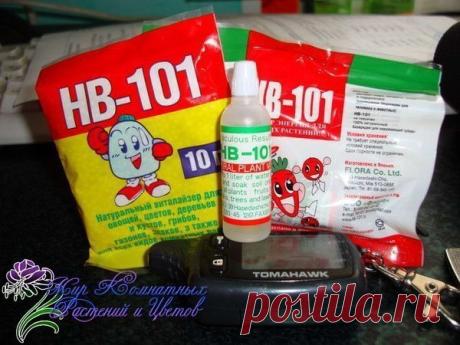 Запись на стене ☝HB-101:Что это и с чем его "едят"❓С каждым днем среди дачников, садоводов любителей и профессиональных фермеров появляется все больше поклонников нового удобрения, бьющего все рекорды по натуральности, широте применения и удобстве в использовании. И все чаще на страницах форумов мы встре..