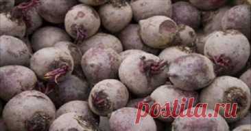 Мне 60 лет, и это растение вернуло мне зрение, удалило жир из моей печени и полностью очистила толстую кишку! — Домашние заботы