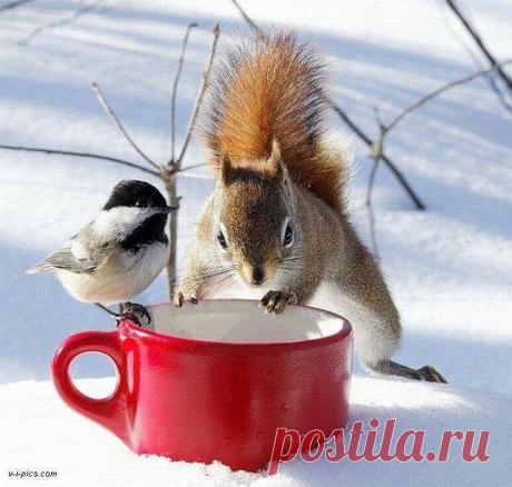 Фразы,Высказывания,Стихи,Цитаты,Видео...
Елена Станова