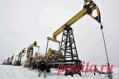 Китай начал активнее закупать российскую нефть после снижения цен. Частные нефтеперерабатывающие заводы (НПЗ) в Китае начали активнее закупать российскую нефть на фоне споров с Ираном из-за цен на сырье. Тегеран повысил стоимость поставок в начале декабре, а вот Москва, напротив, сделала поставки с использованием нефтепровода «Восточная Сибирь—Тихий океан» (ВСТО) дешевле.