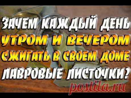 Зачем каждый день утром и вечером сжигать в своем доме лавровые листочки? / Польза, оберег