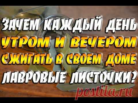 Зачем каждый день утром и вечером сжигать в своем доме лавровые листочки? / Польза, оберег