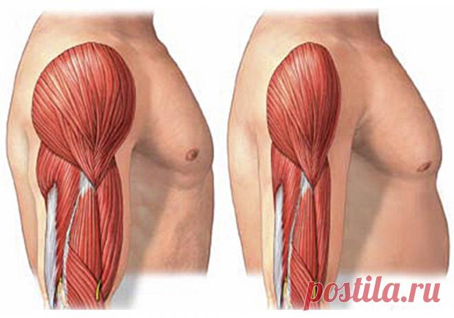 10 продуктов, которые формируют мышцы! Стоит попробовать! Большой секрет для повышения вашей способности к созданию мышц — это правильный тип пищи, конечно, силовая подготовка по-прежнему