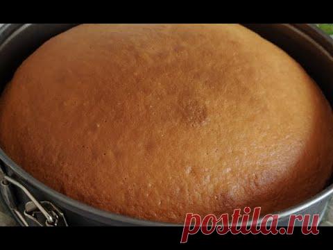 Пирог на молоке «Проще не бывает». Замес теста для пирога всего за 5 минут I Наталья Лапухина