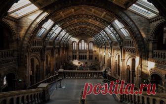 7 сайтов с виртуальными экскурсиями Существует множество сервисов, которые позволяют отправиться в любую точку планеты, при этом не выходя из класса. Edutainme выбрали интересные виртуальные экскурсии по средневековому Лондону, российским заповедникам и американским университетам.