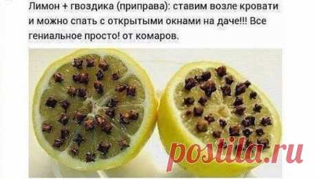 Лучшее средство от комаров! 
Сохраните на заметку, чтобы не потерять!