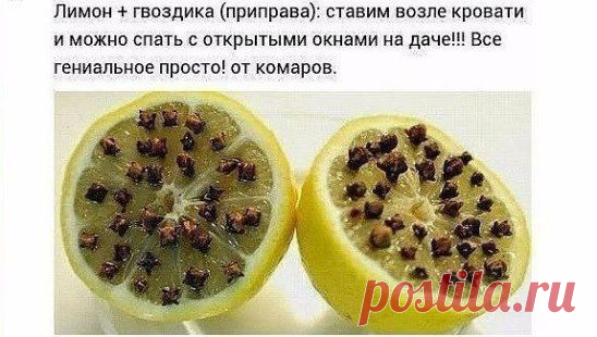 Лучшее средство от комаров! 
Сохраните на заметку, чтобы не потерять!