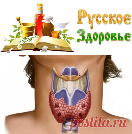 Признаки болезни щитовидной железы