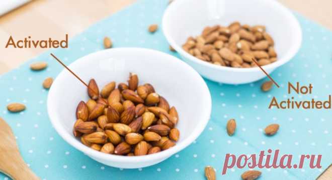 Почему вы должны вымачивать орехи и семена, прежде чем есть их (и как это сделать) - Журнал для женщин Стоит попробовать! Знаете ли вы, что пищевые ингибиторы и токсичные соединения в орехах и семенах могут быть значительно уменьшены замачиванием? Эти ингибиторы и токсичные соединения включают ингибиторы ферментов, фитаты (фитиновая кислота), полифенолы (дубильные вещества) и гоитроген. Что такое ингибиторы фермента? Ингибиторы ферментов представляют собой пищеварительные ...