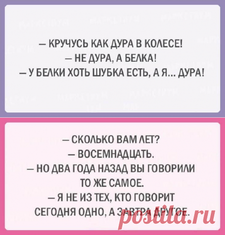 20 шуток об очаровательной женской логике