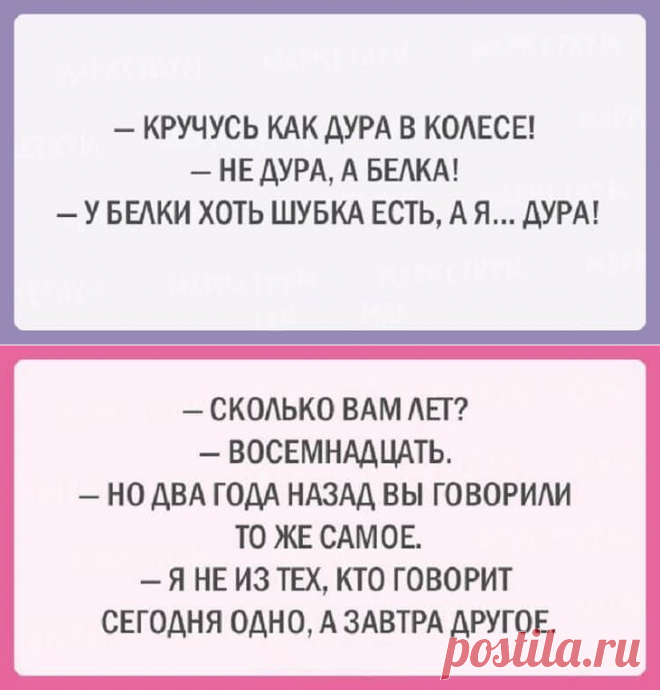 20 шуток об очаровательной женской логике
