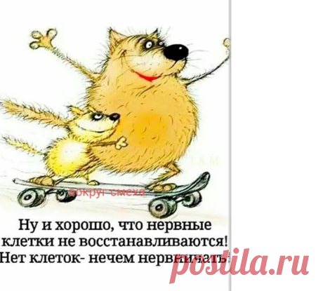 b090f841.png (852×768)