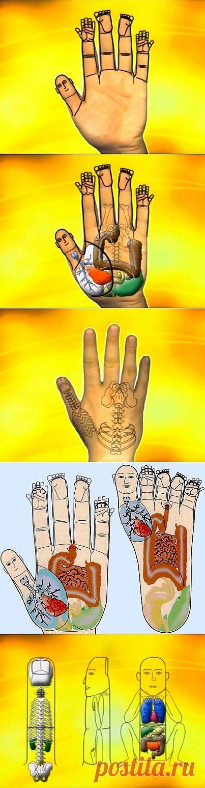 Су джок - скорая помощь в любых ситуациях!