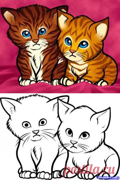 Как рисовать котят поэтапно