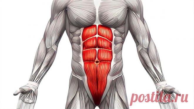 Вакуум — уникальное, несправедливо забытое упражнение для плоского живота. Что будет, если делать вакуум каждый день | Павел Корпачев | Яндекс Дзен