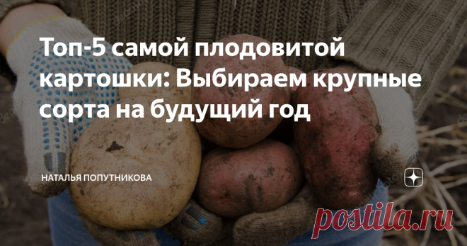 Топ-5 самой плодовитой картошки: Выбираем крупные сорта на будущий год Без картофеля огород сложно представить – думаю, его выращивает чуть ли не каждый второй человек, имеющий свой участок. Только не хочется тратить кучу времени на то, чтобы подобрать наиболее «плодовитый» сорт. Поскольку толком полезной информации по этому поводу я не нашла, хочу поделиться, какие сорта дали больше всего крупных плодов. Я составила свой