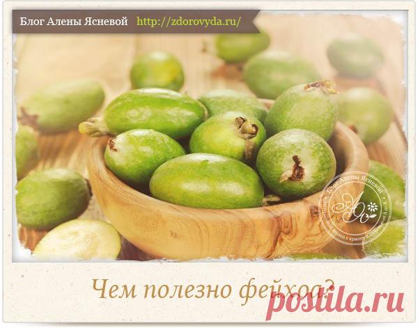 Чем полезно фейхоа для нашего организма - секреты употребления