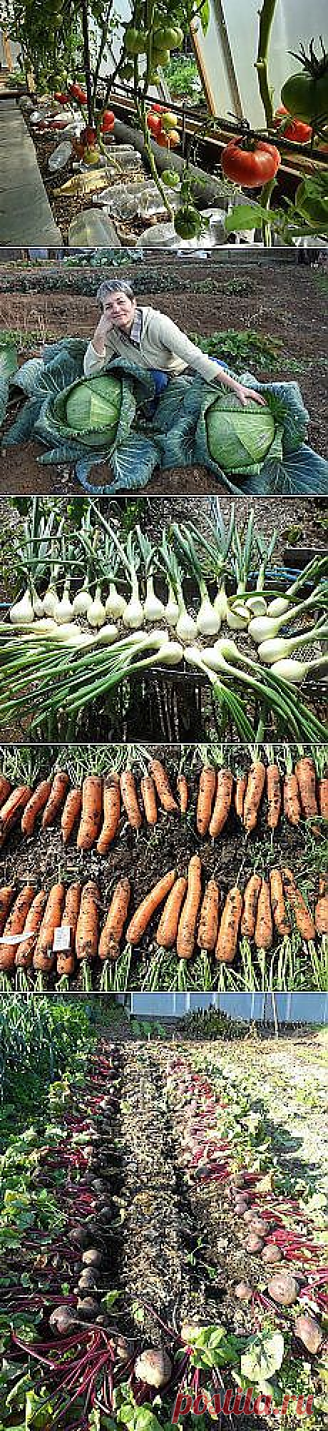 Письмо «Ошибочный макияж, который нас старит / Все для... и другие материалы. Новое в Вашей подборке на Постила.ru» — Постила.ru — Яндекс.Почта