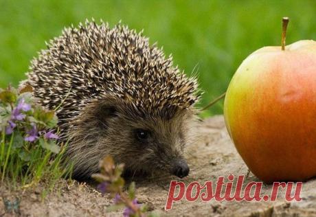Мой Мир@Mail.Ru