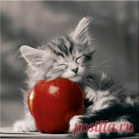 для тебя