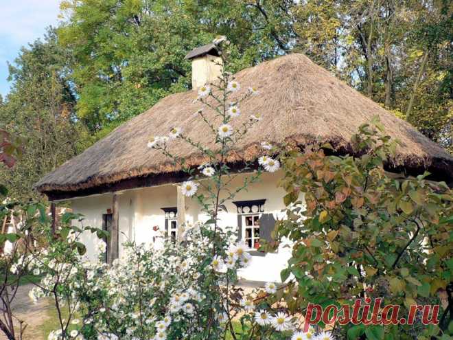 Станислав Скакодуб - Киев, Украина, 73 года на Мой Мир@Mail.ru