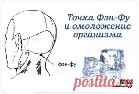 Точка Фэн-Фу и омоложение организма. Невероятно - но факт!
Методика заключается в следующем: прикладывать кубик льда 2,5 х 2,5 см к затылку непосредственно к точке Фэн-фу (ее очень просто найти: ямка, где голова соединяется с шеей).
Показать полностью…