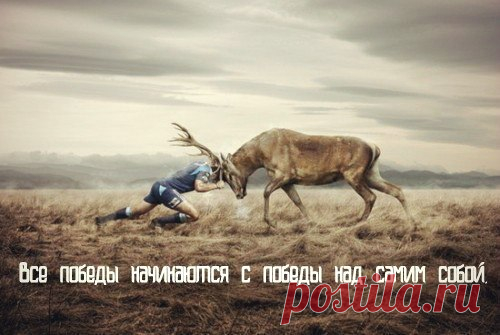 Как из любого кризиса сделать большую победу Люди боятся потерять прежний материальный уровень жизни. Многие уже забыли о спокойном сне, кто-то начал смотреть на мир через черные очки, у кого-то начали резко ухудшаться отношения с близкими людьми, а, в особо сложных случаях, кто-то начал употреблять алкоголь или даже наркотики. Кризис хорош тем, что в нем проверяется человек: проявляются все его слабости. Но если человек гармоничен, то он