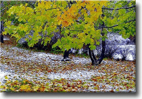 (10) Мой Мир@Mail.Ru