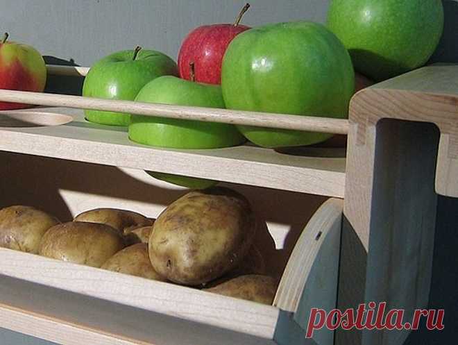 Как лучше хранить продукты • НОВОСТИ В ФОТОГРАФИЯХ
