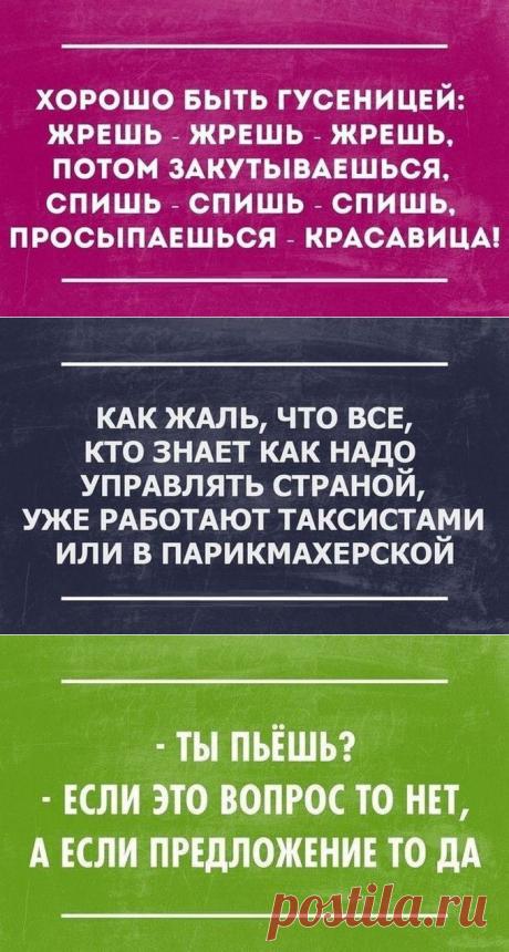 Уморительный сарказм пятисотого уровня