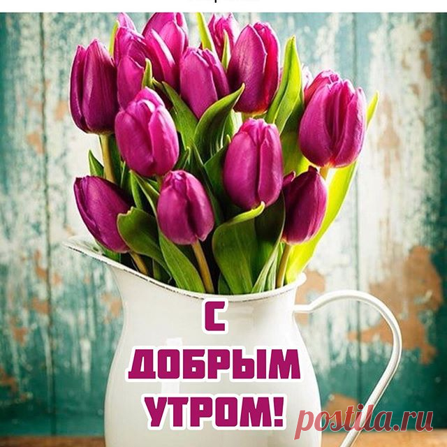 Photo by Марина Алекминская in Россия, Хабаровск. Image may contain: flower and plant, text that says 'с утра проснувшись улыбнитесь, и начинайте просто жить. ждите событий учитесь сами их творить... добрым утром! пусть каждая минута будет счастливой..'