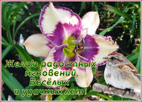Движущаяся открытка  с пожеланиями