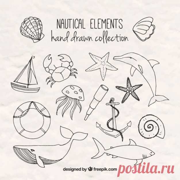 Ручной обращается элементы салорские Более миллиона свободных векторов, PSD, фотографии и бесплатные иконки. Эксклюзивные халявы и все графические ресурсы, которые необходимые для ваших проектов