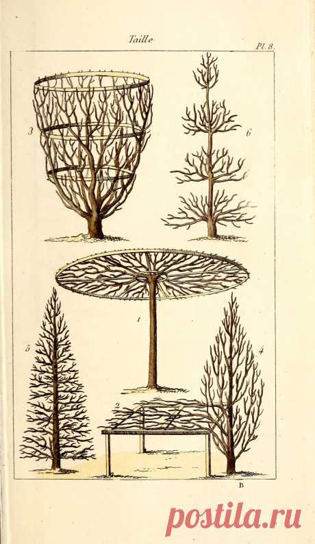The slower you go the bigger your world gets • Full manual gardener maraicher, nurseryman,...