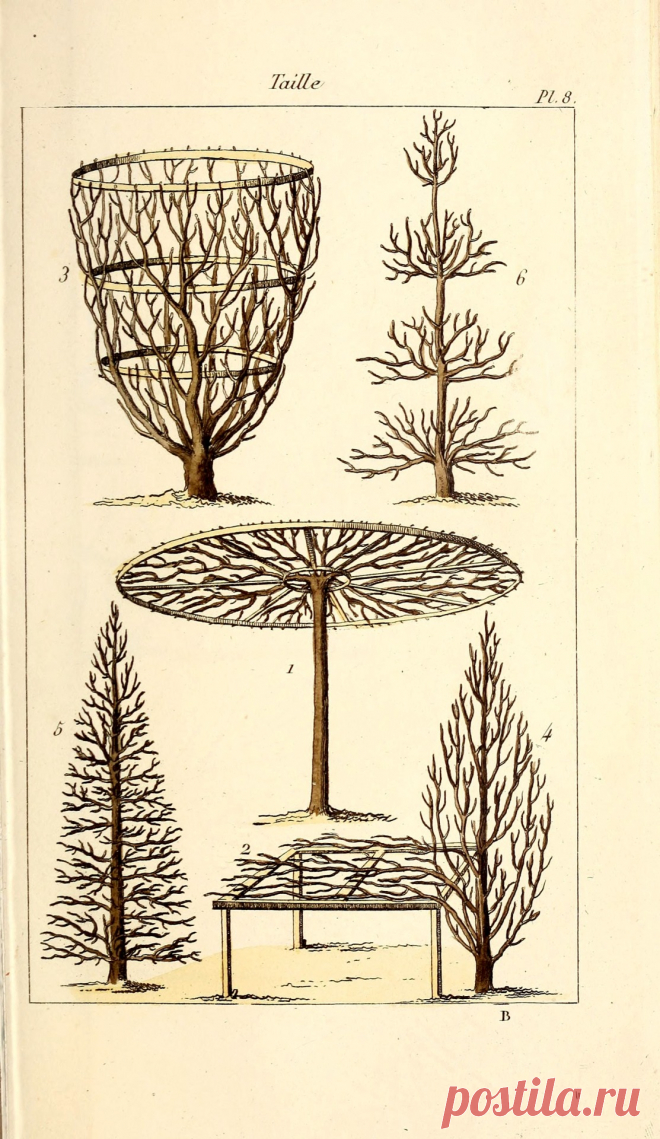 The slower you go the bigger your world gets • Full manual gardener maraicher, nurseryman,...