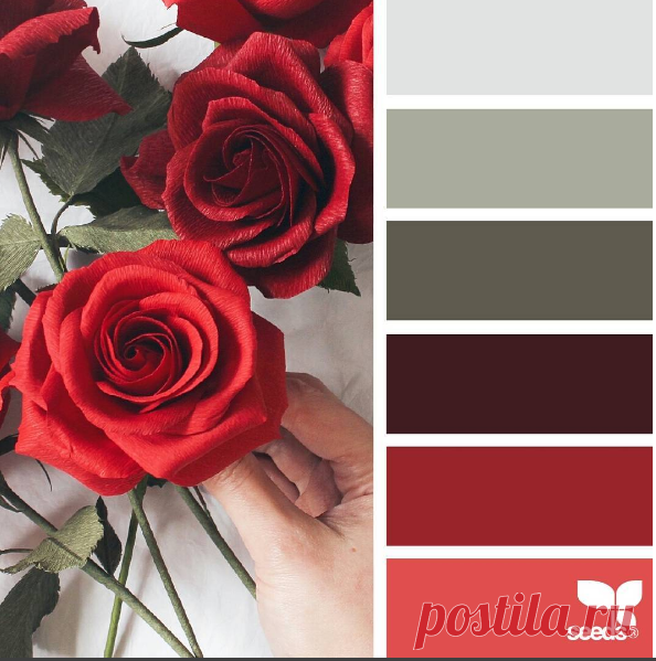 jessica colaluca (@designseeds) • Фото и видео в Instagram