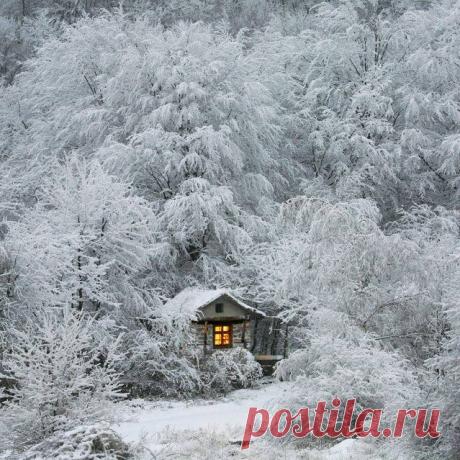 Вот бы где провести Новый год.