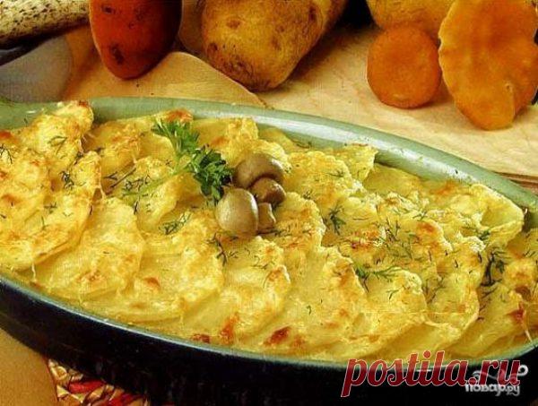 Запеканка с грибами и картофелем (2 рецепта)