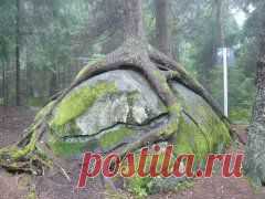 ЧУДЕСА ПРИРОДЫ