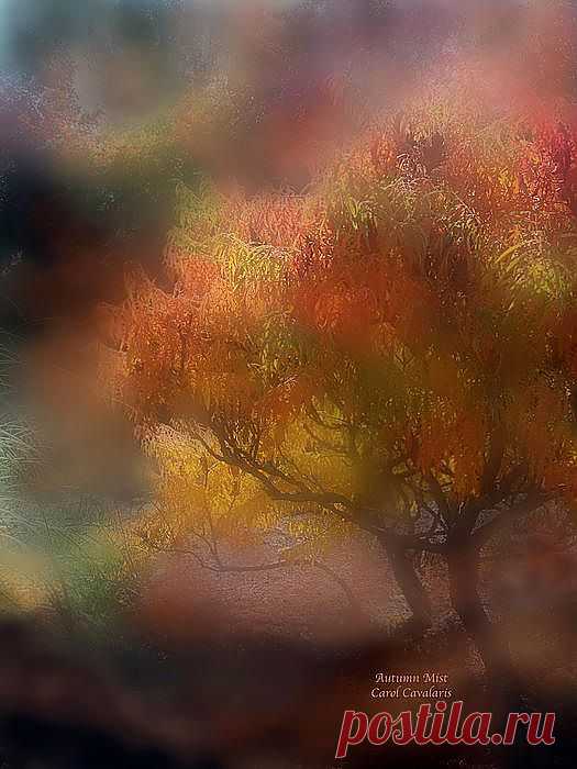 Autumn Mist Mixed Media by Carol Cavalaris - Autumn Mist Fine Art Prints and Posters for Sale