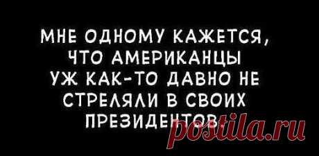 Лучшие цитаты интернета. Класс! | ВШоке.инфо - шокирующие новости, факты, юмор и многое другое!